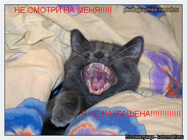Котоматрица: НЕ СМОТРИ НА МЕНЯ!!!!!  Я НЕ НАКРАШЕНА!!!!!!!!!!!!!