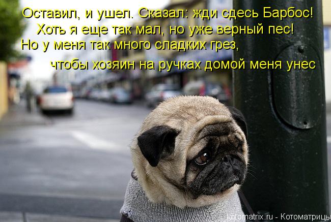 Котоматрица: Оставил, и ушел. Сказал: жди сдесь Барбос! Хоть я еще так мал, но уже верный пес! чтобы хозяин на ручках домой меня унес Но у меня так много сла