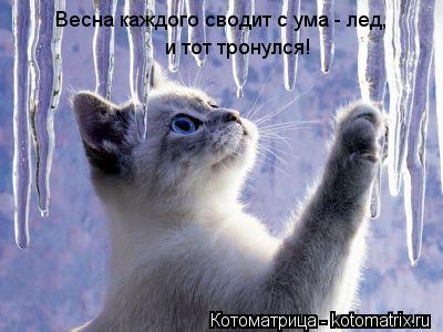 Котоматрица: Весна каждого сводит с ума - лед,  и тот тронулся!