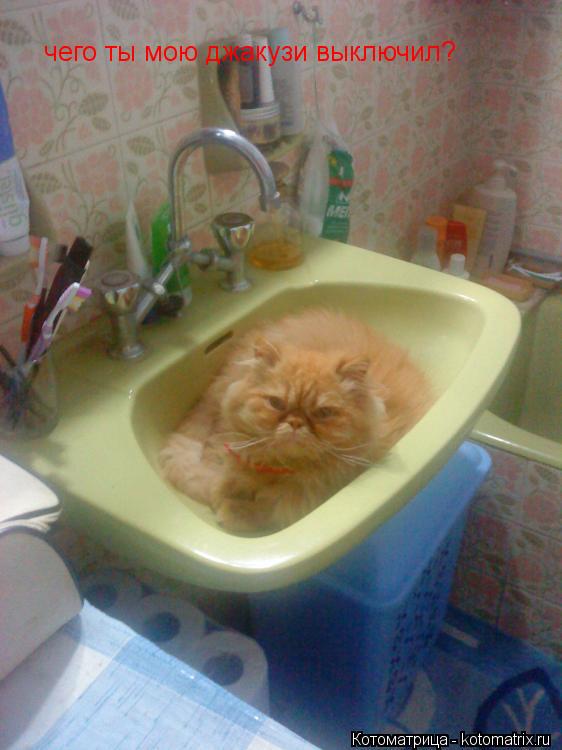 Котоматрица: чего ты мою джакузи выключил?