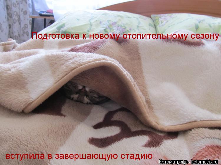 Котоматрица: Подготовка к новому отопительному сезону  вступила в завершающую стадию