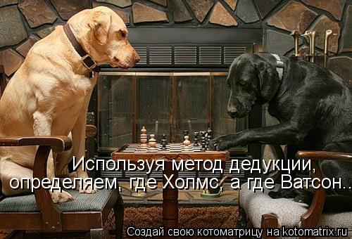 Котоматрица: Используя метод дедукции, определяем, где Холмс, а где Ватсон...