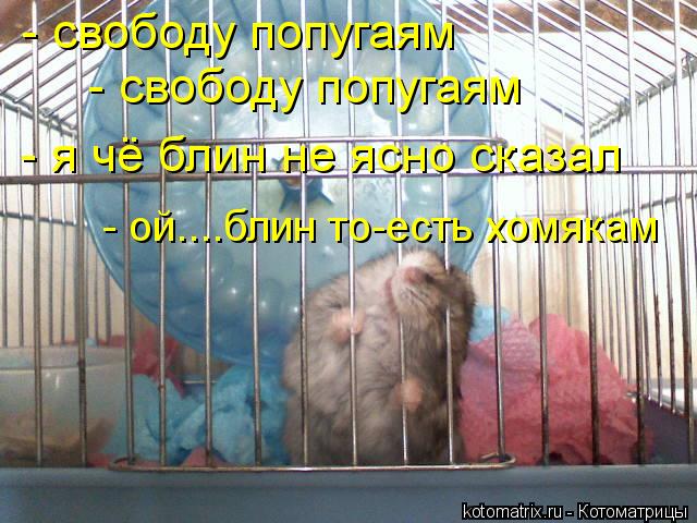 Котоматрица: - свободу попугаям - свободу попугаям - я чё блин не ясно сказал  - ой....блин то-есть хомякам