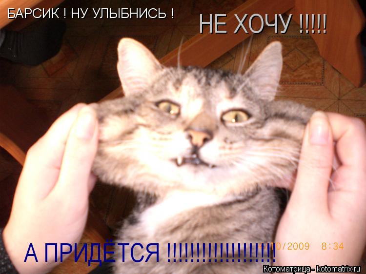Котоматрица: БАРСИК ! НУ УЛЫБНИСЬ ! НЕ ХОЧУ !!!!! А ПРИДЁТСЯ !!!!!!!!!!!!!!!!!!!