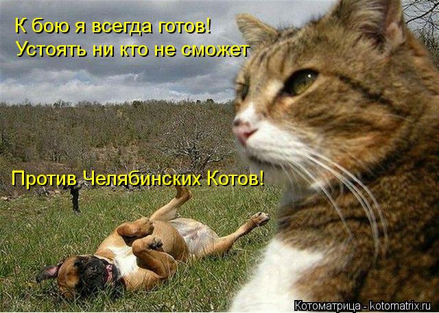 Котоматрица: К бою я всегда готов! Устоять ни кто не сможет Против Челябинских Котов!
