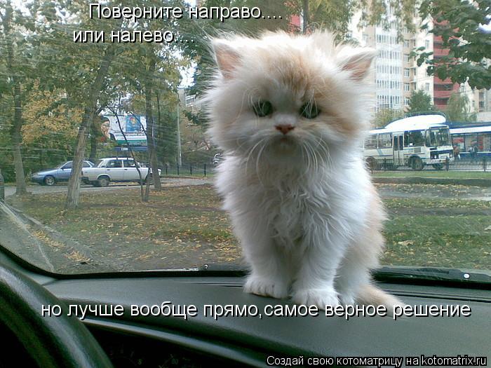 Котоматрица: Поверните направо.... или налево.... но лучше вообще прямо,самое верное решение