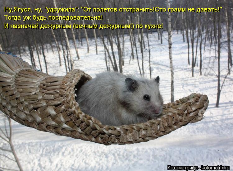 Котоматрица: Ну,Ягуся, ну, "удружила": "От полетов отстранить!Сто грамм не давать!" Тогда уж будь последовательна!  И назначай дежурным (вечным дежурным!) по