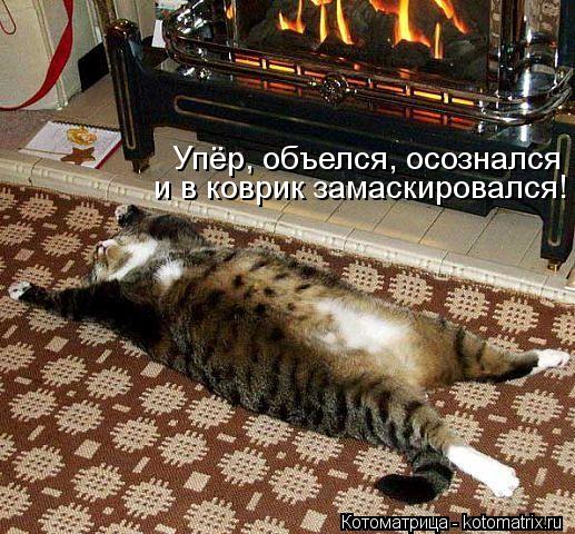 Котоматрица: Упёр, объелся, осознался и в коврик замаскировался!