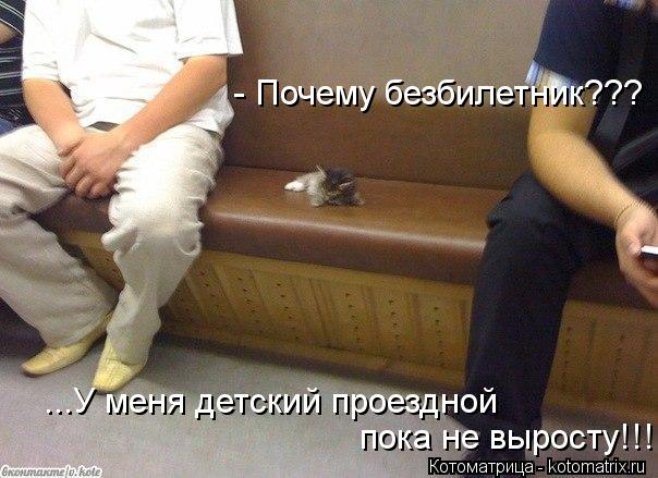 - Почему безбилетник??? ...У меня детский проездной пока не выросту!!!... Котоматрица: - Почему безбилетник??? ...У меня детский проездной пока не выросту!!!