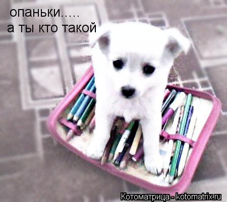 Котоматрица: опаньки..... а ты кто такой
