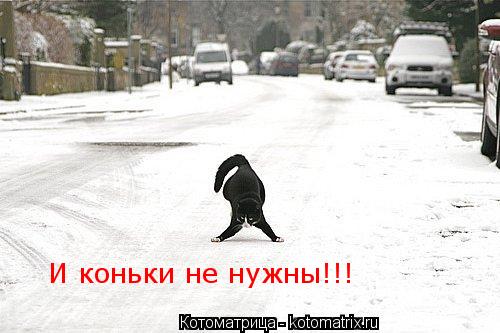 Котоматрица: И коньки не нужны!!!