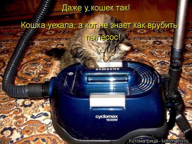 Котоматрица: Даже у кошек так!  Кошка уехала, а кот не знает как врубить пылесос!