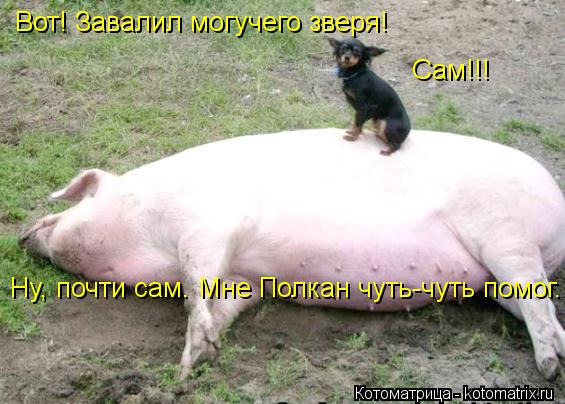 Котоматрица: Вот! Завалил могучего зверя! Сам!!! Ну, почти сам. Мне Полкан чуть-чуть помог.