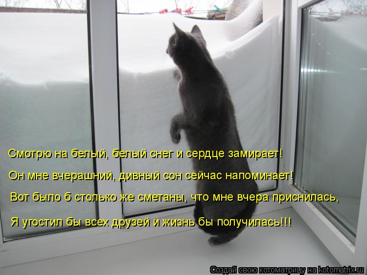 Котоматрица: Смотрю на белый, белый снег и сердце замирает! Он мне вчерашний, дивный сон сейчас напоминает! Вот было б столько же сметаны, что мне вчера пр
