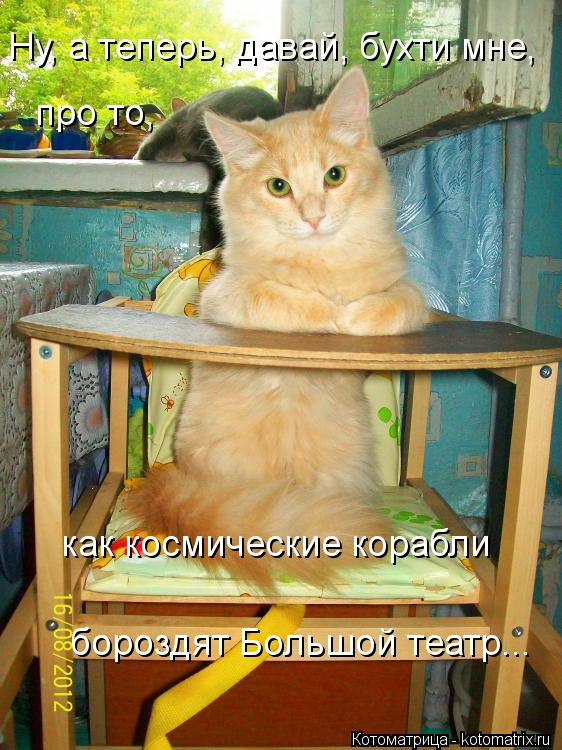 Котоматрица: Ну, а теперь, давай, бухти мне, про то,  как космические корабли бороздят Большой театр...