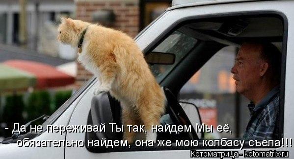 Котоматрица: обязательно найдем, она же мою колбасу съела!!! - Да не переживай Ты так, найдем Мы её,