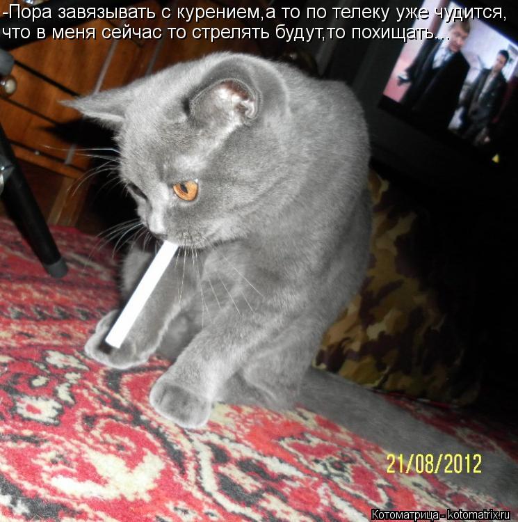 Котоматрица: -Пора завязывать с курением,а то по телеку уже чудится, что в меня сейчас то стрелять будут,то похищать...