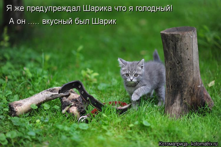 Я же предупреждал Шарика что я голодный! А он ..... вкусный был Шарик... Котоматрица: Я же предупреждал Шарика что я голодный! А он ..... вкусный был Шарик