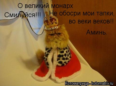 Котоматрица: О великий монарх Смилуйся!!! Не обосри мои тапки, во веки веков!! Аминь.