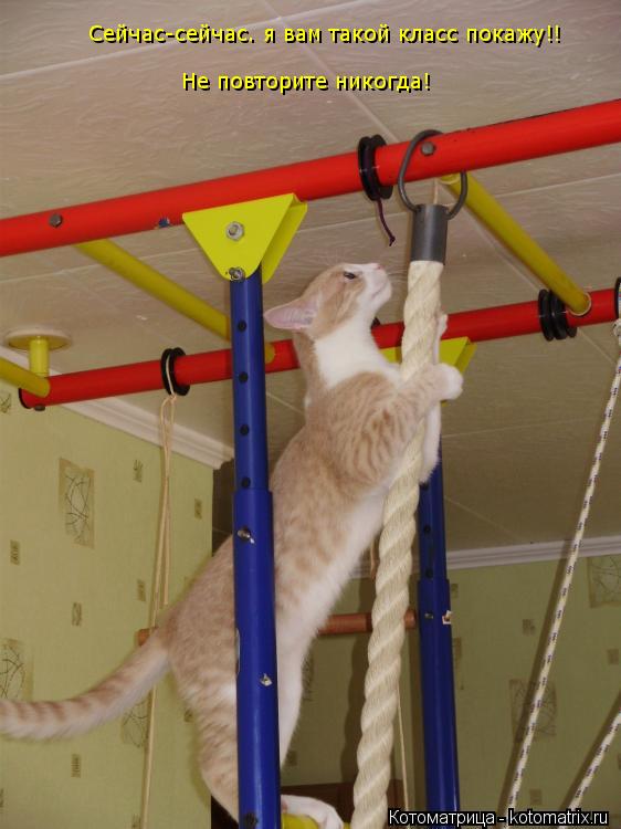 Котоматрица: Сейчас-сейчас. я вам такой класс покажу!! Не повторите никогда!