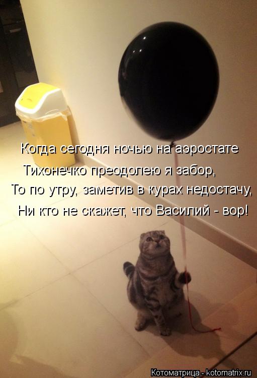 Котоматрица: Когда сегодня ночью на аэростате Тихонечко преодолею я забор, То по утру, заметив в курах недостачу, Ни кто не скажет, что Василий - вор!