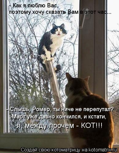 - Как я люблю Вас, - Слышь, Ромео, ты ниче не перепутал? поэтому хочу сказать Вам в этот час... Март ... Котоматрица: - Как я люблю Вас, - Слышь, Ромео, ты ниче не перепутал? поэтому хочу сказать Вам в этот час... Март уже давно кончился, и кстати, я, между прочем -