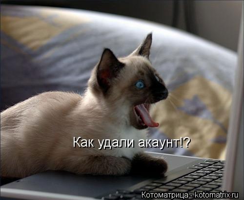Как удали акаунт!?... Котоматрица: Как удали акаунт!?