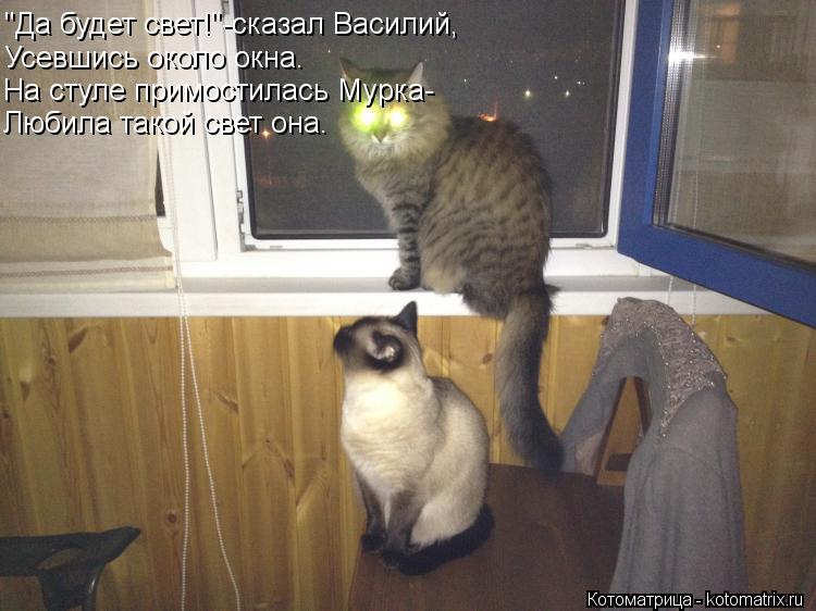 Котоматрица: "Да будет свет!"-сказал Василий, Усевшись около окна. На стуле примостилась Мурка- Любила такой свет она.