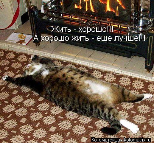 Котоматрица: Жить - хорошо!!! А хорошо жить - еще лучше!!!