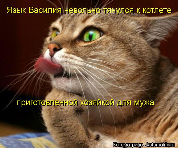 Котоматрица: Язык Василия невольно тянулся к котлете  приготовленной хозяйкой для мужа