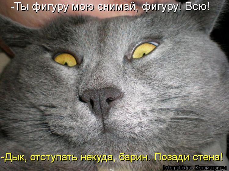 Котоматрица: -Ты фигуру мою снимай, фигуру! Всю! -Дык, отступать некуда, барин. Позади стена!