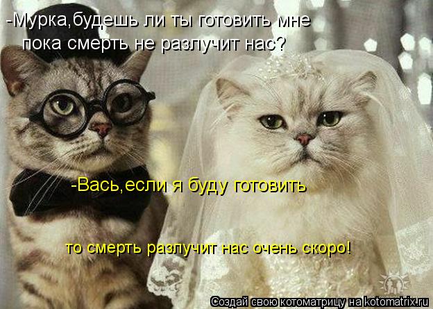 Котоматрица: -Мурка,будешь ли ты готовить мне пока смерть не разлучит нас? -Вась,если я буду готовить то смерть разлучит нас очень скоро!