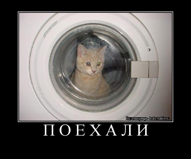 Котоматрица: ПОЕХАЛИ 