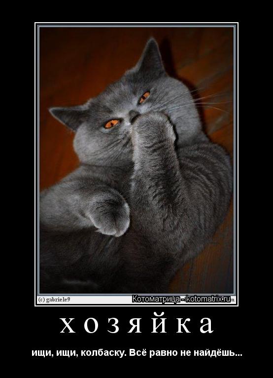 Котоматрица: хозяйка ищи, ищи, колбаску. Всё равно не найдёшь...