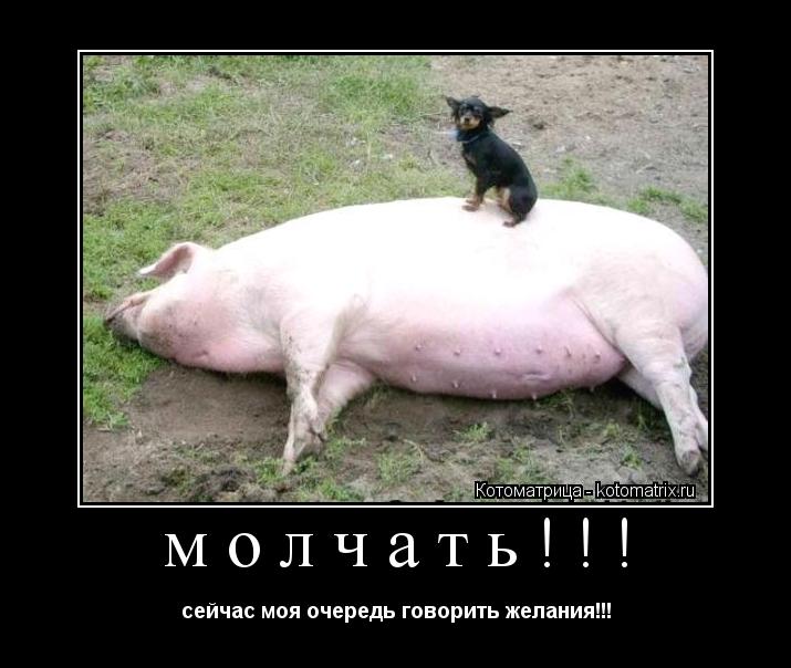 Котоматрица: молчать!!! сейчас моя очередь говорить желания!!!