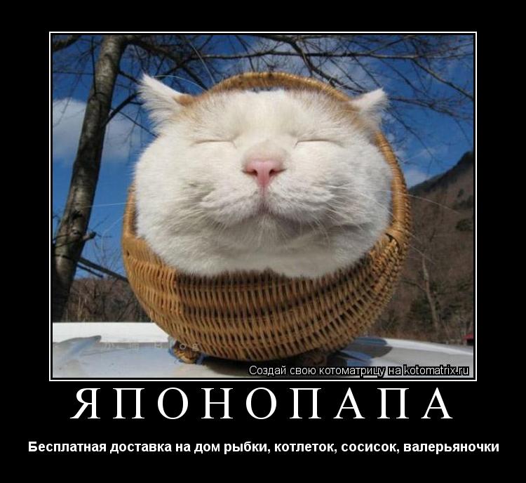 ЯПОНОПАПА Бесплатная доставка на дом рыбки, котлеток, сосисок, валерьяночки... Котоматрица: ЯПОНОПАПА Бесплатная доставка на дом рыбки, котлеток, сосисок, валерьяночки