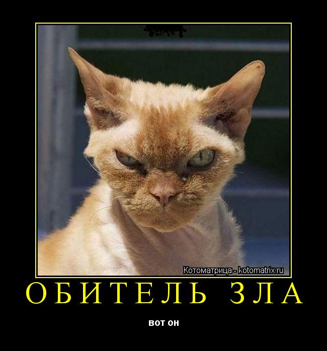 Котоматрица: ОБИТЕЛЬ ЗЛА вот он