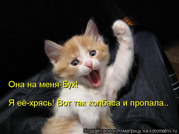 Котоматрица: Она на меня-Бух!  Я её-хрясь! Вот так колбаса и пропала..