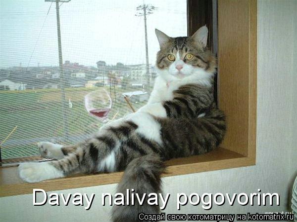 Davay nalivay pogovorim... Котоматрица: Davay nalivay pogovorim