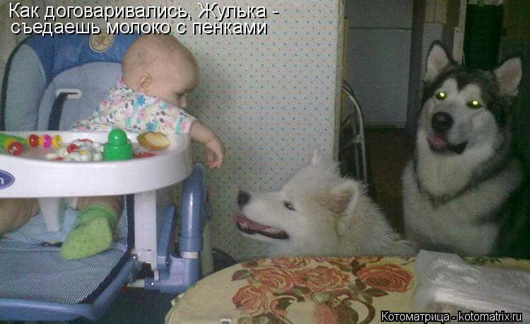 Котоматрица: Как договаривались, Жулька -  съедаешь молоко с пенками