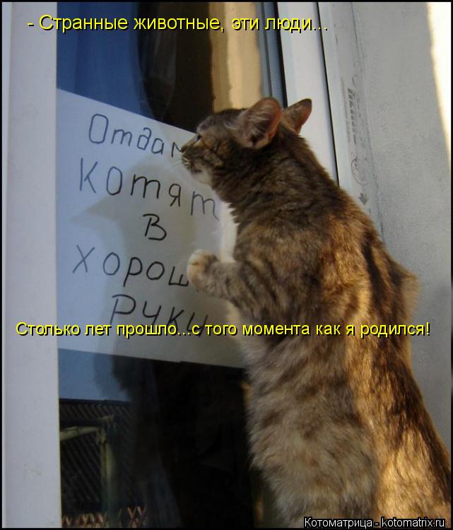 Котоматрица: - Странные животные, эти люди...  Столько лет прошло...с того момента как я родился!