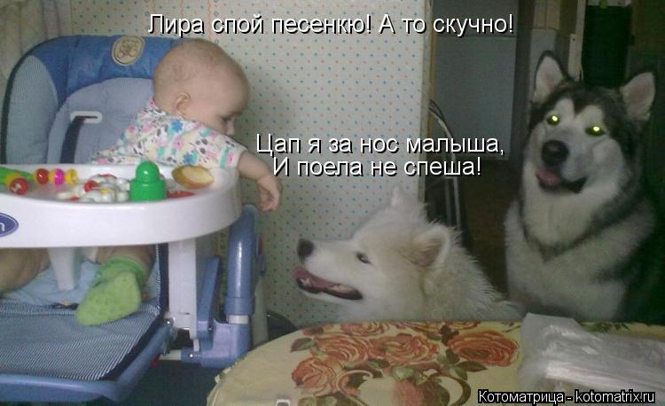 Котоматрица: Лира спой песенкю! А то скучно! Цап я за нос малыша, И поела не спеша!