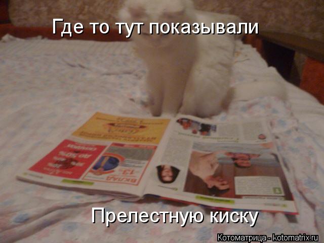 Котоматрица: Где то тут показывали Прелестную киску