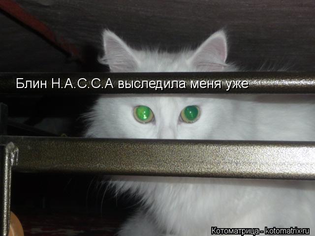 Блин Н.А.С.С.А выследила меня уже... Котоматрица: Блин Н.А.С.С.А выследила меня уже