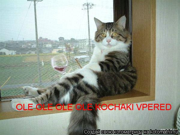 OLE OLE OLE OLE KOCHAKI VPERED... Котоматрица: OLE OLE OLE OLE KOCHAKI VPERED