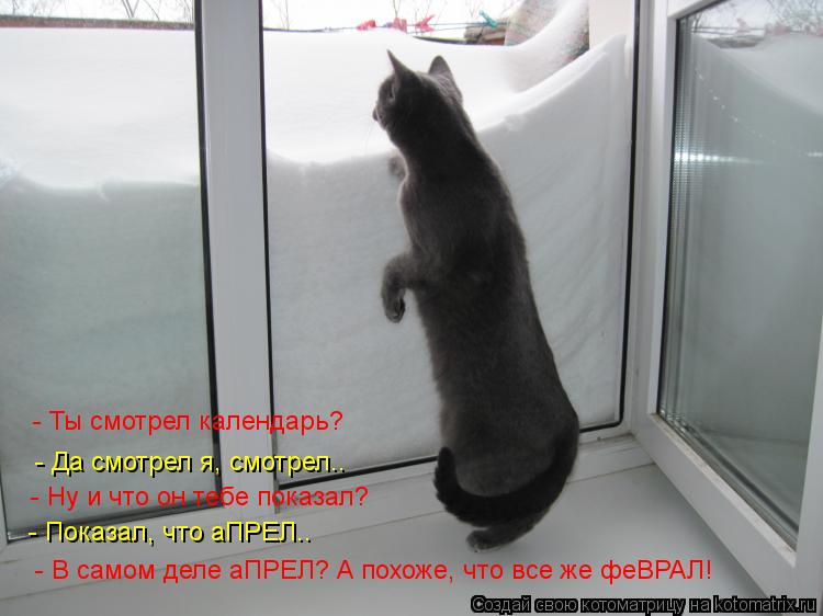 Котоматрица: - Показал, что аПРЕЛ.. - Ну и что он тебе показал? - Ты смотрел календарь?  - В самом деле аПРЕЛ? А похоже, что все же феВРАЛ! - Да смотрел я, смотрел