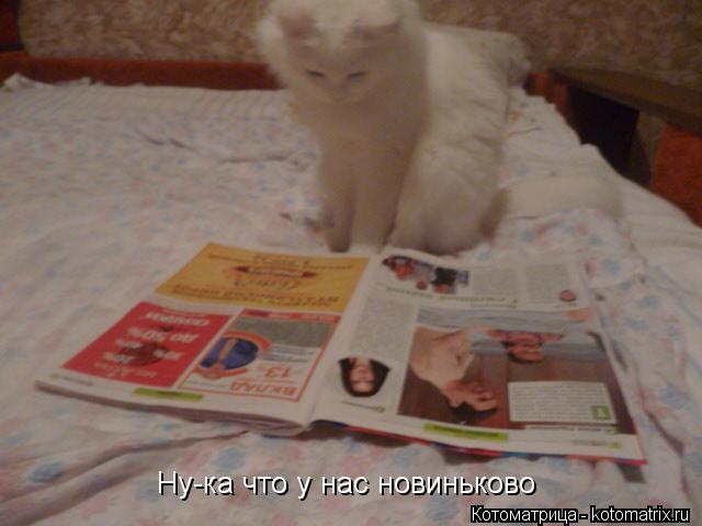 Ну-ка что у нас новиньково... Котоматрица: Ну-ка что у нас новиньково