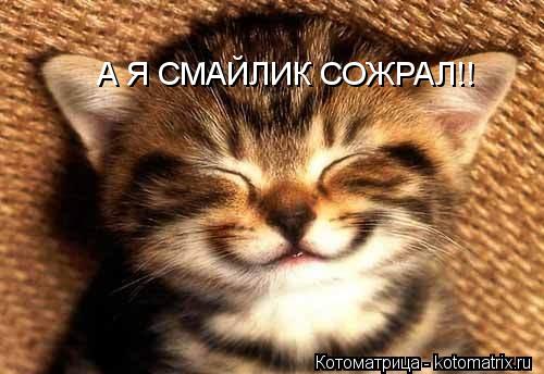 Котоматрица: А Я СМАЙЛИК СОЖРАЛ!!