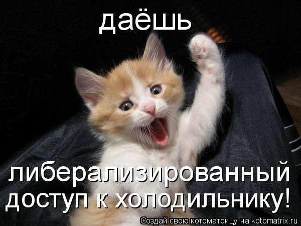 Котоматрица: даёшь  либерализированный  доступ к холодильнику!