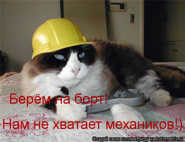 Котоматрица: Берём на борт! Нам не хватает механиков!)
